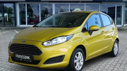 Gebraucht Ford Fiesta Trend 80 PS (58 kW) 2014 Mustard olivegelb metallic Kleinwagen