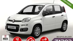 Weiß Neu 2025 Fiat Panda Kleinwagen | 13.748 € (Guter Preis)