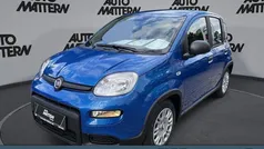 Weiß Gebraucht 2024 Fiat Panda Kleinwagen | 14.489 € (Fairer Preis)