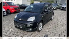 Foresta grün Neu 2024 Fiat Panda Garmin Kleinwagen | 13.580 € (Guter Preis)