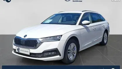 Gebraucht Skoda Octavia Ambition 150 PS (110 kW) 2023 Candyweiß Kombi