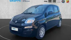 Schwarzschwarz Neu 2025 Fiat Panda Kleinwagen | 14.480 € (Fairer Preis)