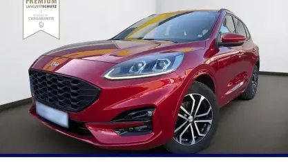 Usata Ford Kuga ST-Line X 150 CV (110 kW) 2020 Rosso SUV