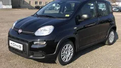 Schwarz Gebraucht 2024 Fiat Panda Kleinwagen | 15.089 € (Fairer Preis)