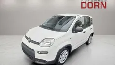 Rot Neu 2024 Fiat Panda Kleinwagen | 15.690 € (Fairer Preis)