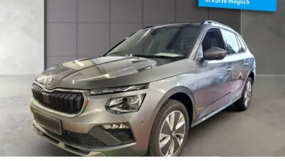 Gebraucht Skoda Kamiq Selection 150 PS (110 kW) 2024 Graphitegrau metallic SUV