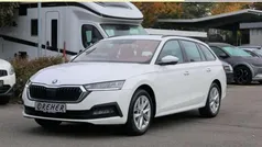 Candyweiss Gebraucht 2024 Skoda Octavia Ambition Kombi | 24.470 € (Guter Preis)