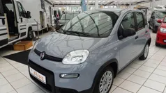 Grau Gebraucht 2023 Fiat Panda Kleinwagen | 13.490 € (Fairer Preis)