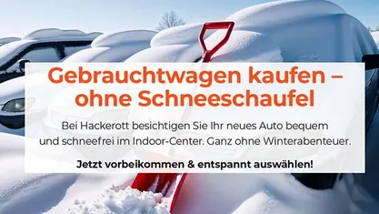 Grau Gebraucht 2023 Seat Tarraco FR SUV | 33.960 € (Fairer Preis)