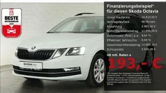 Weiss Gebraucht 2018 Skoda Octavia Style Kombi | 14.824 € (Fairer Preis)