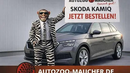 Neu Skoda Kamiq Selection 116 PS (85 kW) 2026 Energy blau SUV