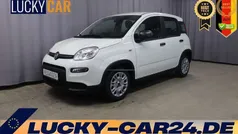 296 gelato weiß Neu 2024 Fiat Panda Kleinwagen | 14.230 € (Fairer Preis)