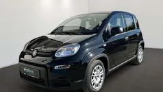 Gebraucht 2024 Fiat Panda Kleinwagen | 12.995 € (Fairer Preis)