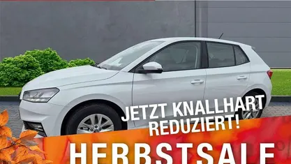Gebraucht 2025 Skoda Fabia Selection Kleinwagen | 18.970 € (Fairer Preis)