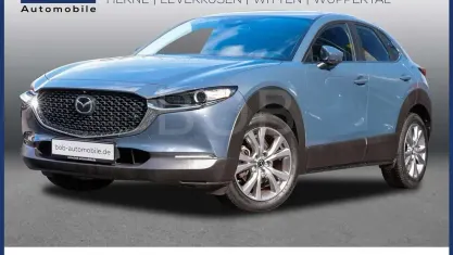 Gebraucht Mazda CX-30 Selection 179 PS (131 kW) 2020 Grau SUV