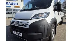 Weiss (pastell)) (weiss Neu 2025 Fiat Ducato Van | 34.986 € (Fairer Preis)