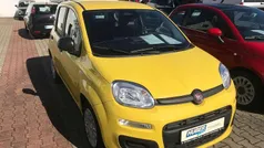 Positano gelb Neu 2025 Fiat Panda Kleinwagen | 14.490 € (Fairer Preis)