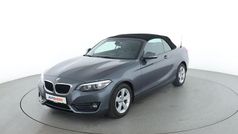Grau Gebraucht 2018 BMW 218 Advantage Cabrio | 19.600 € (Fairer Preis)