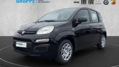 Schwarzschwarz Neu 2025 Fiat Panda Kleinwagen | 14.990 € (Fairer Preis)