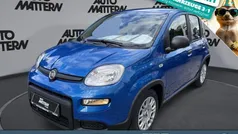 Weiß Gebraucht 2024 Fiat Panda Kleinwagen | 14.489 € (Fairer Preis)