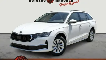 Neu Skoda Octavia Selection 150 PS (110 kW) 2026 Candyweiss Limousine