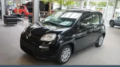Colore esterno (cinema schwarz Gebraucht 2024 Fiat Panda Kleinwagen | 14.489 € (Fairer Preis)