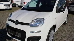 Weiß Neu 2025 Fiat Panda Kleinwagen | 13.890 € (Guter Preis)