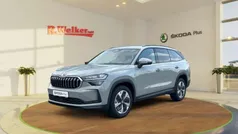 Grau Gebraucht 2024 Skoda Kodiaq Selection SUV | 45.900 € (Guter Preis)