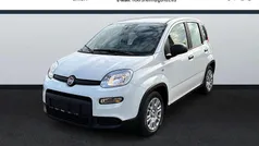 Weiß Neu 2024 Fiat Panda Kleinwagen | 16.490 € (Fairer Preis)