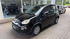 Schwarz Neu 2024 Fiat Panda Kleinwagen | 15.990 € (Fairer Preis)