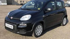 Schwarz Gebraucht 2024 Fiat Panda Kleinwagen | 15.089 € (Fairer Preis)