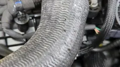 Gebraucht 2025 Renault Kangoo Techno | 31.790 € (Superpreis)