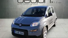 Grau Gebraucht 2023 Fiat Panda Kleinwagen | 11.800 € (Fairer Preis)