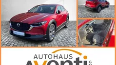Rot Gebraucht 2021 Mazda CX-30 Selection SUV | 20.079 € (Fairer Preis)