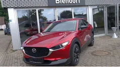 Gebraucht 2023 Mazda CX-30 Homura-Line SUV | 26.750 € (Guter Preis)