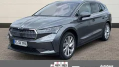 Grau Gebraucht 2025 Skoda Enyaq iV ecoSuite SUV | 49.490 € (Guter Preis)