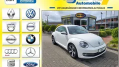 VW Beetle
