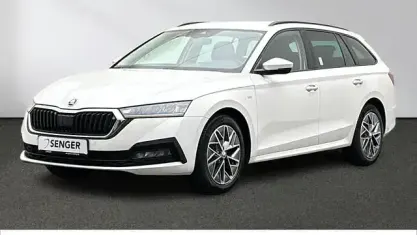 Gebraucht Skoda Octavia Ambition 150 PS (110 kW) 2023 Candy weiss Kombi