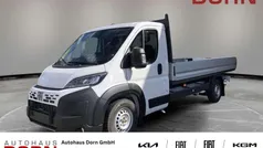 Weiß Neu 2025 Fiat Ducato Van | 42.990 € (Fairer Preis)