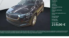 Gebraucht 2024 Skoda Karoq Selection SUV | 30.342 € (Guter Preis)