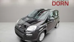 Cinema schwarz Neu 2025 Fiat Panda Kleinwagen | 16.590 €