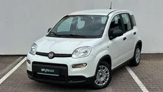Weiß Neu 2024 Fiat Panda Kleinwagen | 13.750 € (Fairer Preis)