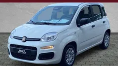 Gelato weiß Neu 2025 Fiat Panda Kleinwagen | 17.490 € (Fairer Preis)
