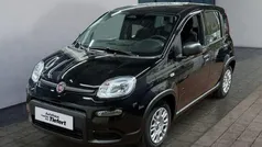 Gebraucht 2024 Fiat Panda Kleinwagen | 15.290 € (Fairer Preis)