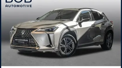 Gebraucht Lexus UX 250h 184 PS (135 kW) 2021 Grau SUV