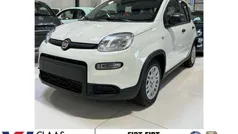 Colore esterno (weiss) Neu 2024 Fiat Panda Kleinwagen | 12.990 € (Guter Preis)