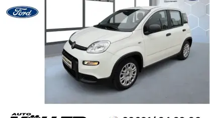 Gebraucht Fiat Panda Cross Cross 71 PS (52 kW) 2024 Weiss) (weiss Kleinwagen