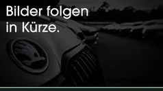 Gebraucht 2025 Skoda Octavia RS Kombi | 42.990 € (Fairer Preis)