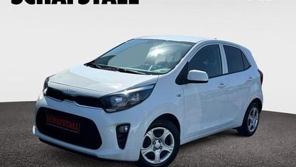 Gebraucht Kia Picanto Vision 67 PS (49 kW) 2024 Weiss ((ud) schneeweiss) Kleinwagen