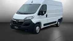 Casablancaweiss Gebraucht 2023 Opel Movano Van | 23.900 € (Superpreis)